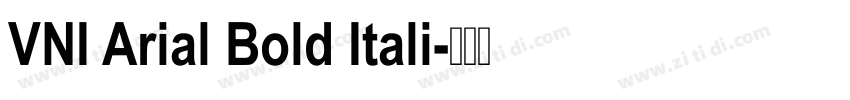 VNI Arial Bold Itali字体转换